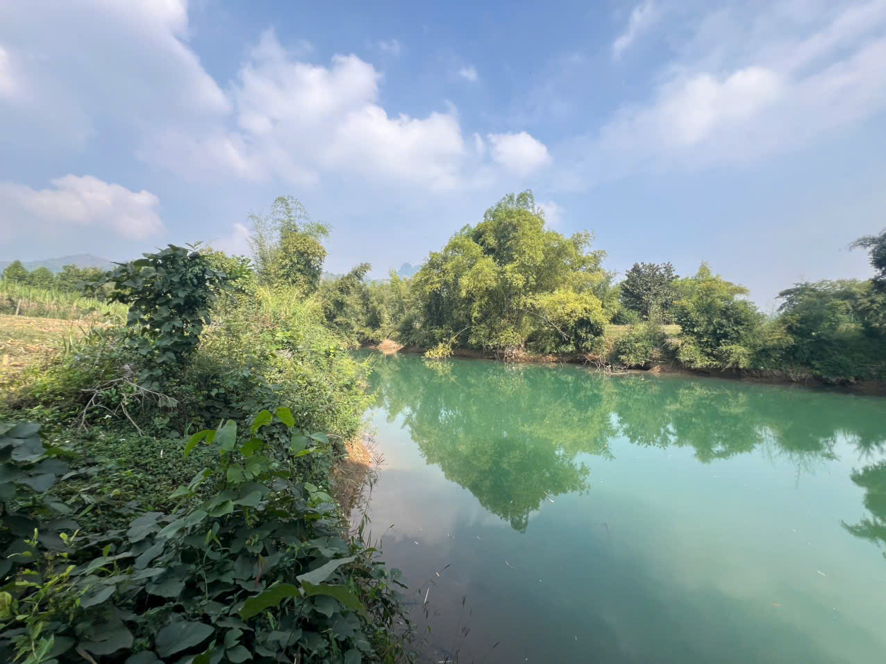Bán 2561M có 1400M đất ở bám suối 65M_Bắc Phong Cao Phong HB_2,x tỷ - Ảnh chính